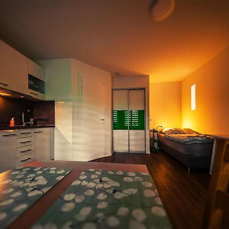 Gottwaldhaus-Freiberg-Apartment / A Eksteriør billede